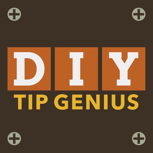 The Family Handyman DIY Tip Genius Icon