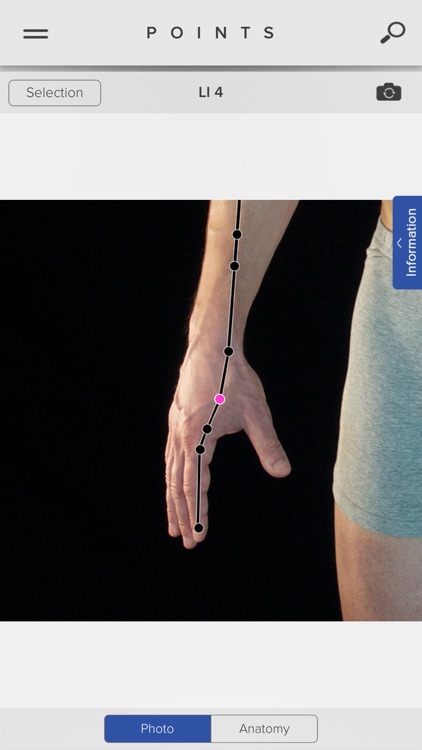 Acupuncture Points