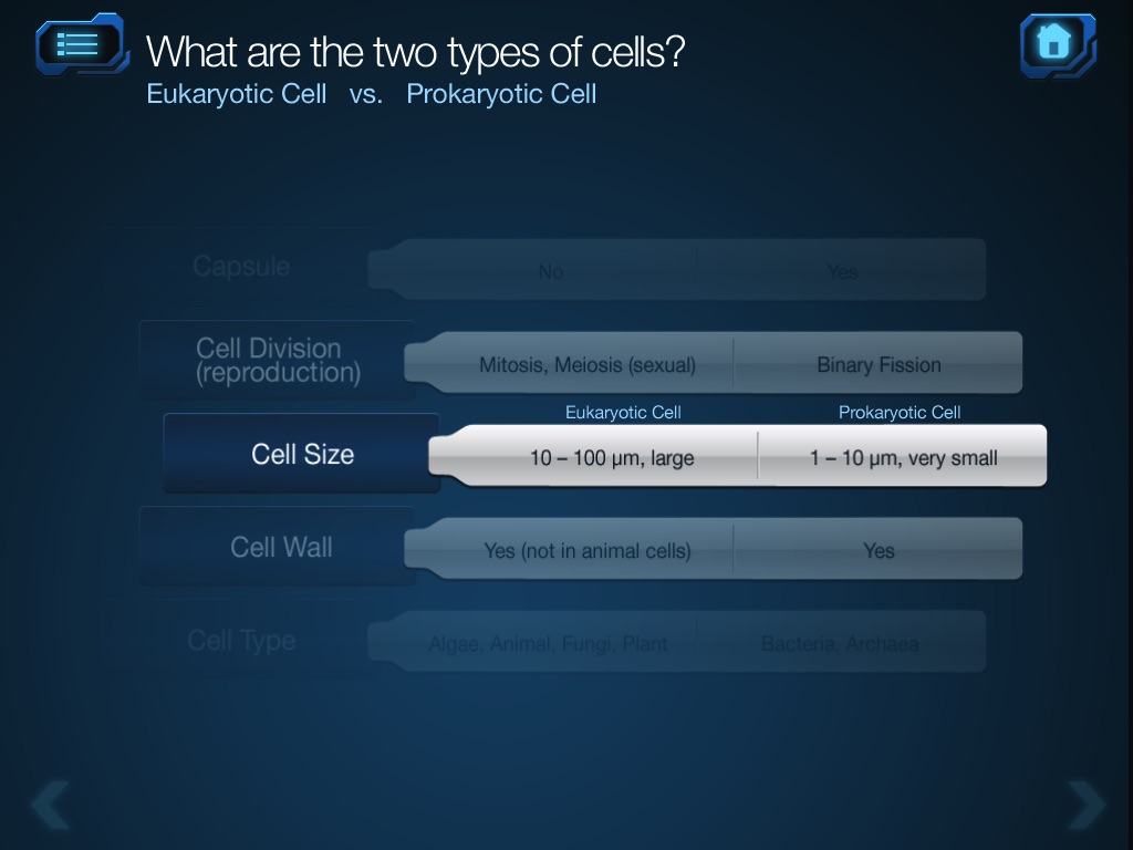 Cell and Cell Structure screenshot 2