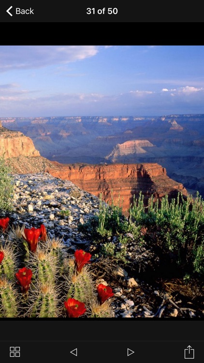 Grand Canyon Park Travel Explorer screenshot-4
