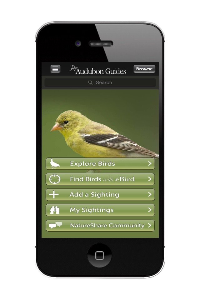Audubon Birds of Central Park screenshot 2