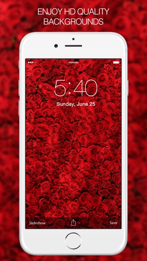 Rose Wallpapers & Backgrounds – Pictures of Roses(圖2)-速報App