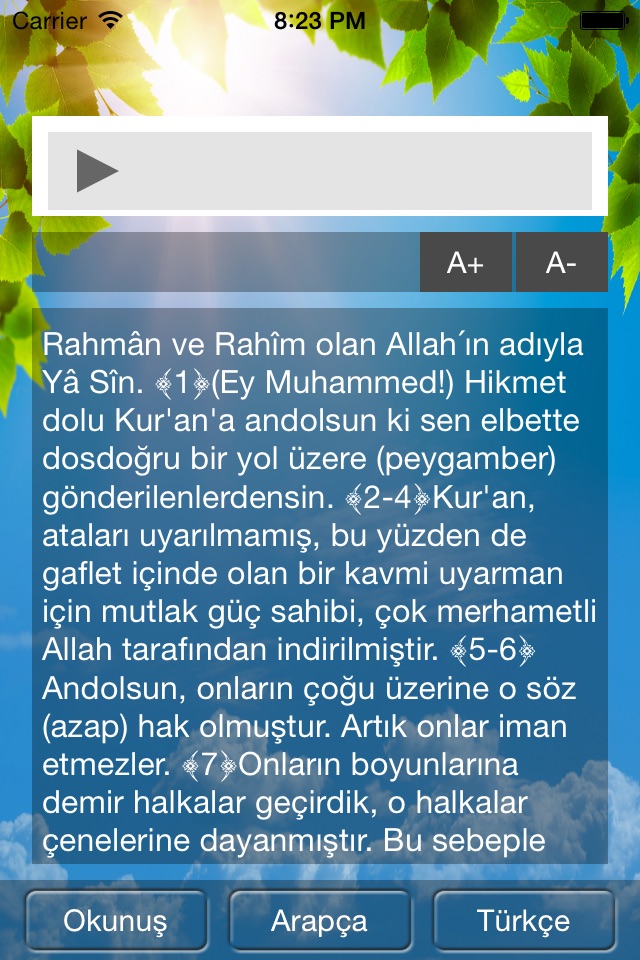 Yasin Suresi Dinle screenshot 3