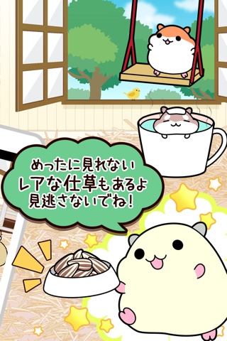 Hamster Collection◆FreeBasic, pet breeding game! screenshot 2