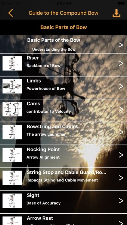 Guide to the Compound Bow