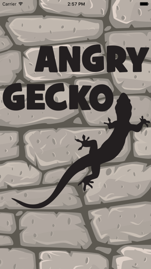 Fun with Gecko - Angry Gecko in jungle(圖1)-速報App