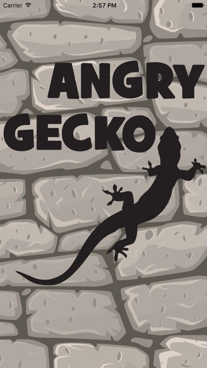 Fun with Gecko - Angry Gecko in jungle