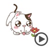 Funny Cat Animated