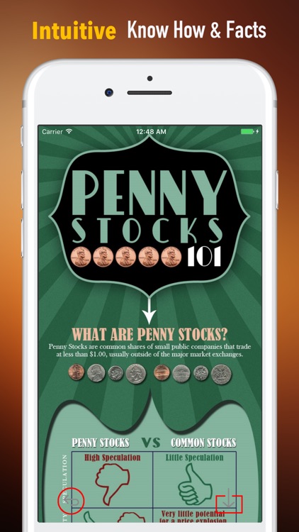 Penny Stocks 101 - Investing Guide and Study Tips