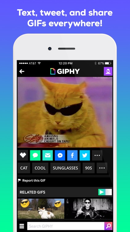 GIPHY. The GIF Search Engine for All the GIFs
