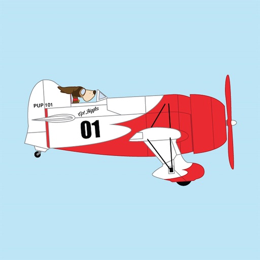 Fly Plane 3D Icon