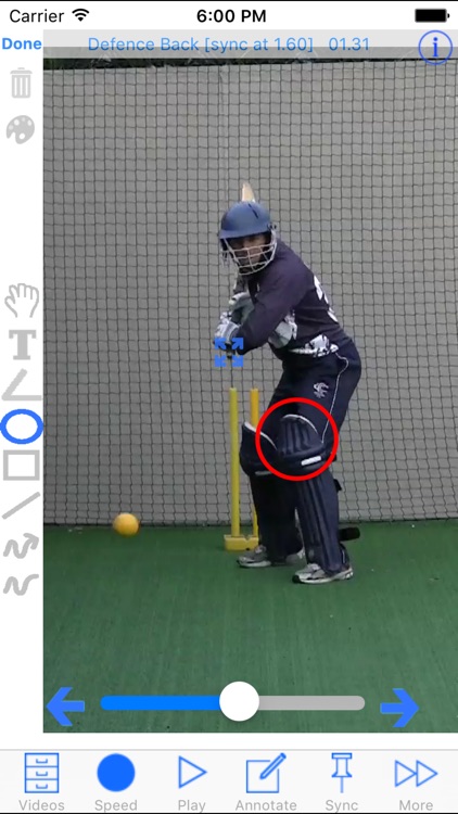 Cricket Coach Plus HD