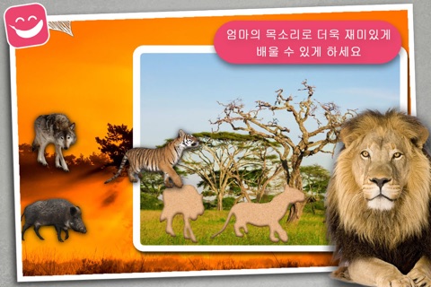 Wildlife Animals Jigsaw for young kids with simba screenshot 4