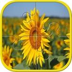 Flower Jigsaw Puzzle box learning For Kids