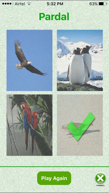 Flashcards Portuguese Lesson