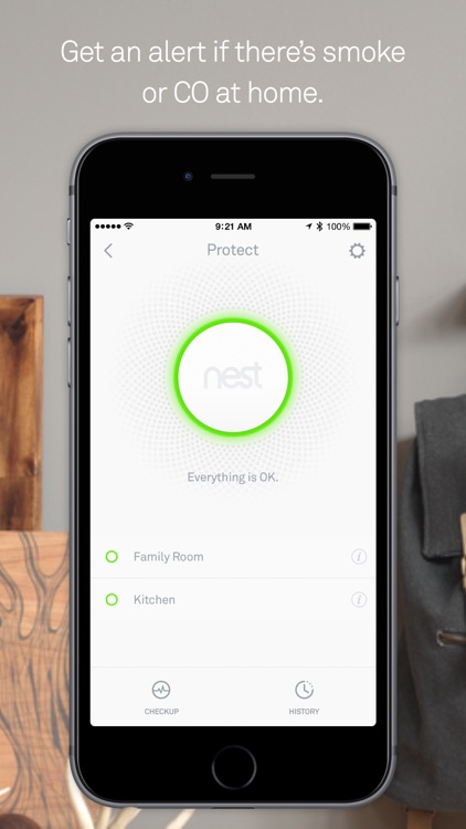 Nest - Your home in your hand screenshot-3
