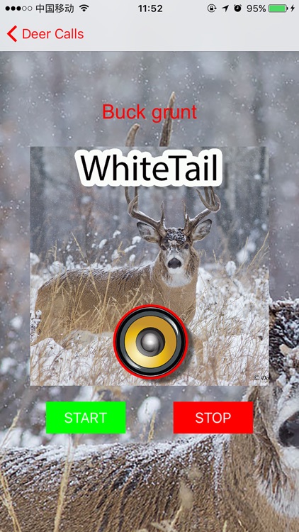 Real Whitetail Hunting Calls & Sounds - Deer screenshot-3