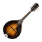 Purely Mandolin is designed to help you become a better mandolin player