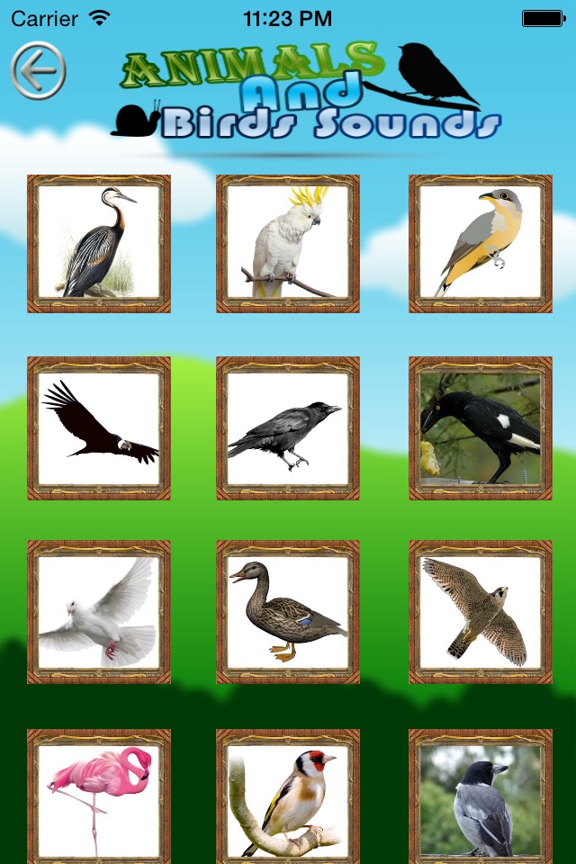 Animal And Bird Sounds screenshot 3
