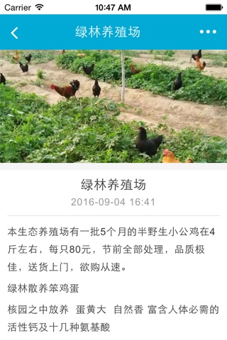 山东特色农产品网 screenshot 4