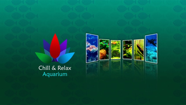 Chill & Relax TV Aquarium Cay Fish Tank HD Video(圖1)-速報App