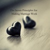 Practical Guide - The Seven Principles