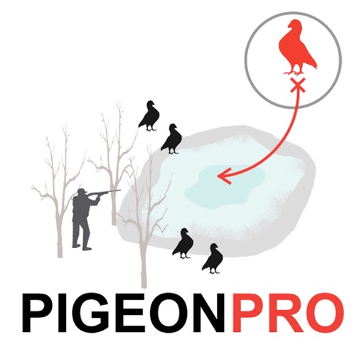 Pigeon Hunting Planner Icon