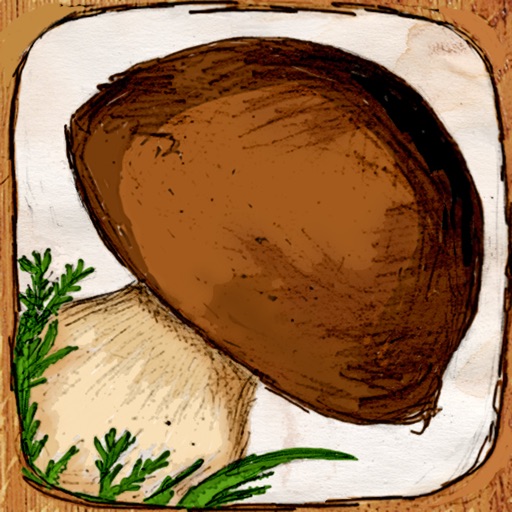 The Mushroom Book PRO