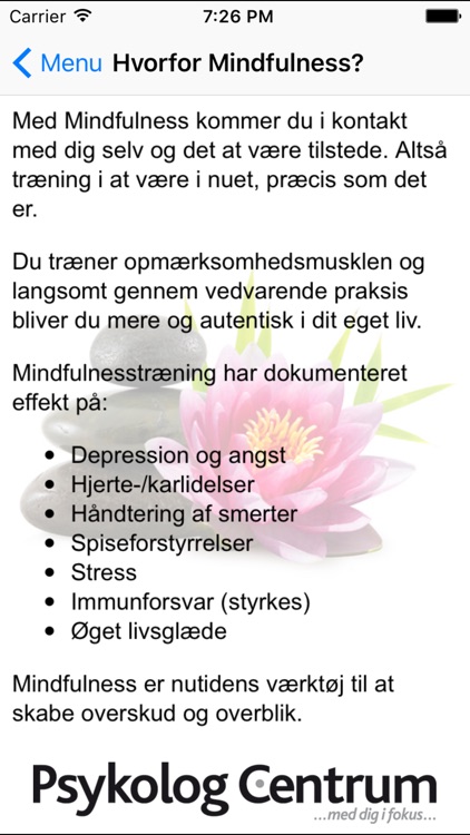 Mindfulness i hverdagen v/ Allan Bau Petersen screenshot-4