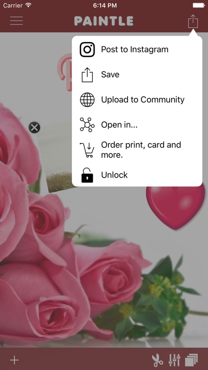 Paintle screenshot-3