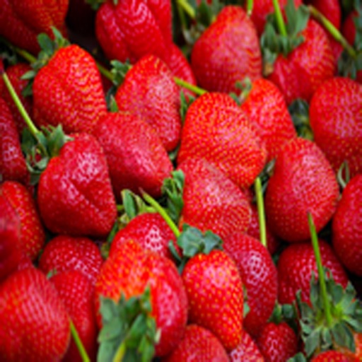 How To Grow Strawberries