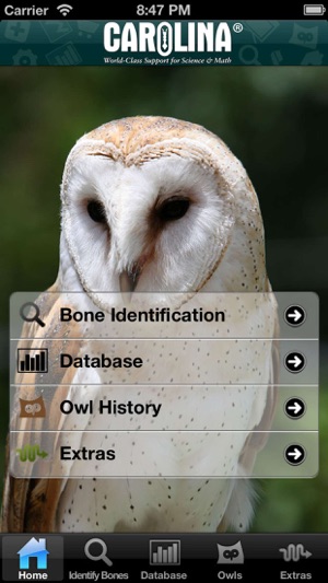 Owl Pellet Activities Lite(圖1)-速報App