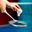 Top 38 Entertainment Apps Like Badminton Super Smash Challenges - Best Alternatives