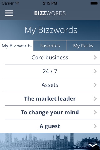 Bizzwords Business English screenshot 4