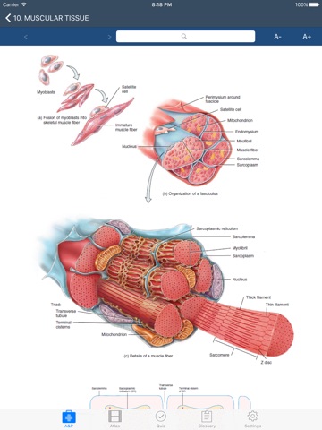 Fundamental of Anatomy and Physiology screenshot 2