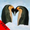Penguin Video and Photo Galleries FREE