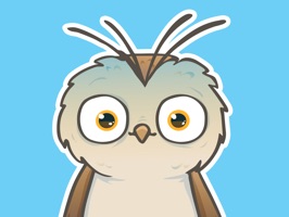 Crazy Owls is a hit