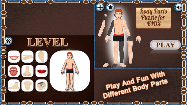 Human Body Part Puzzle For Kids