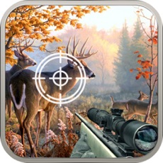 Activities of Wild Animal Hunter Simulator