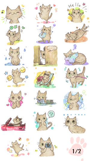 Brown Tabby Cat(圖3)-速報App