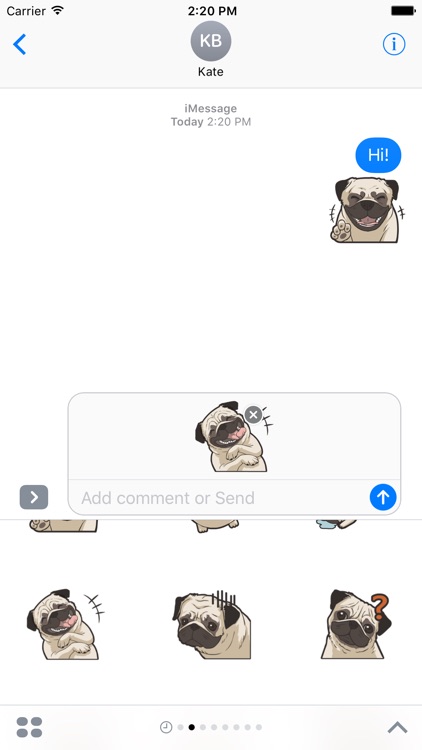 Pug Dog Sticker screenshot-3