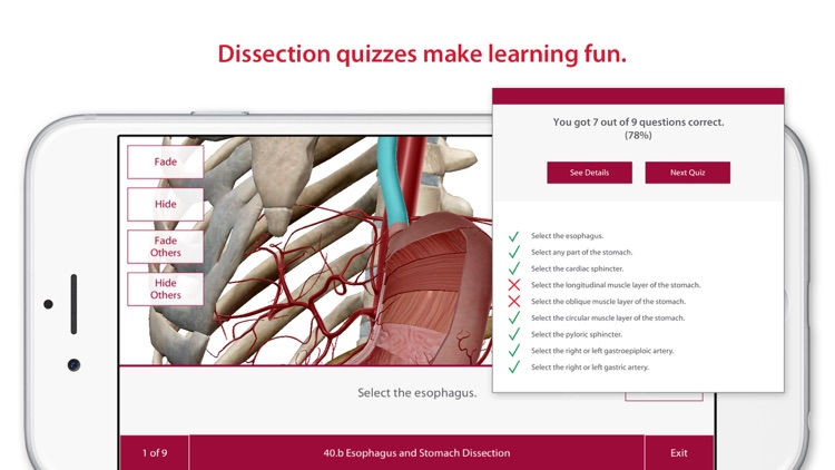 Anatomy & Physiology: Body Structures and Function screenshot-3