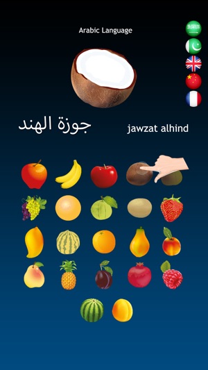 Fruits Dictionary Multilingual