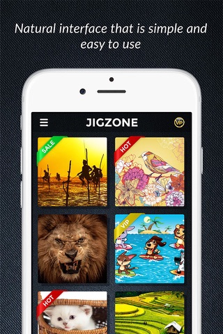 JIGZONE screenshot 2