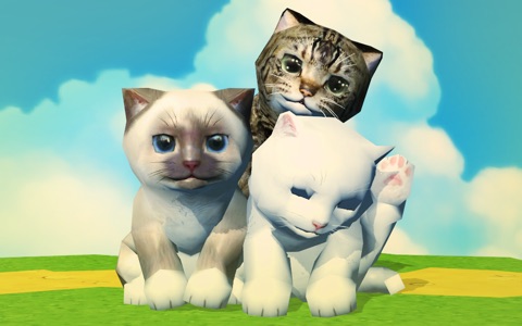 Cat Racing for Kids First Pet screenshot 2