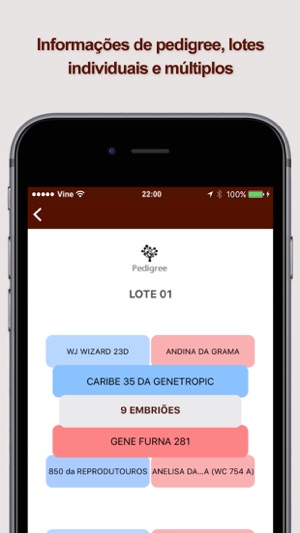 Senepol Mais(圖5)-速報App