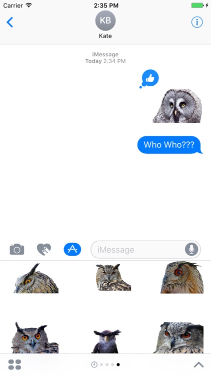 Cute Owl Stickers