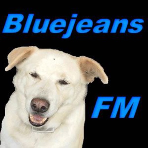 Bluejeans FM icon