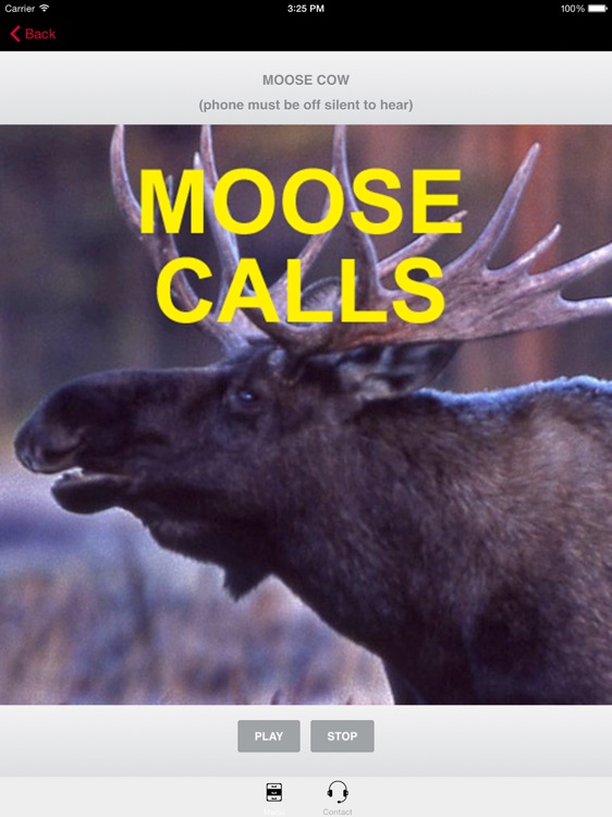 Moose Calls for Moose Hunting