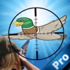 Flying Ducks Pro : Adventure Season